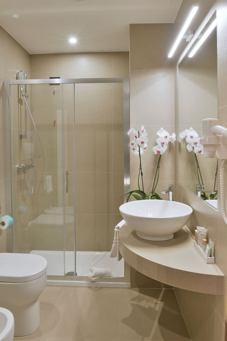 Shower, free toiletries, hair dryer, slippers