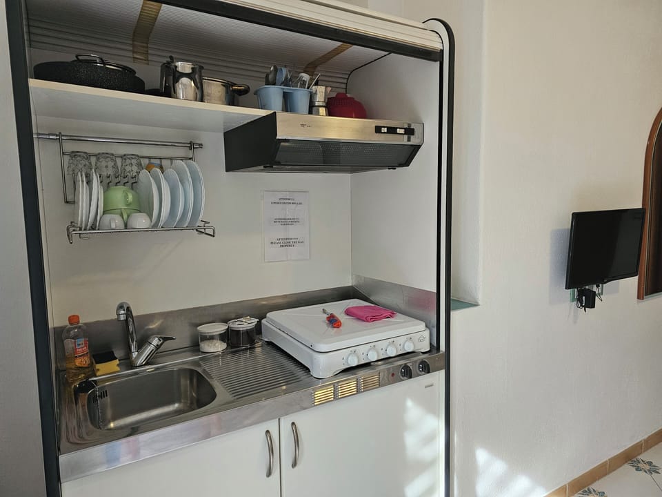 Fridge, stovetop, cookware/dishes/utensils, freezer