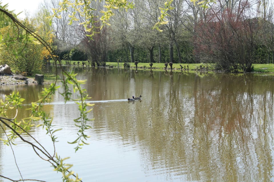 Lake