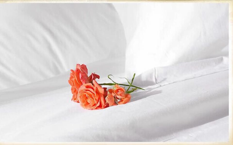 Minibar, WiFi (free), bed sheets