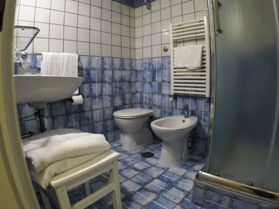 Double or Twin Room, Private Bathroom | Bathroom | Shower, eco-friendly toiletries, hair dryer, bidet