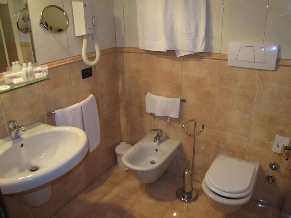Shower, free toiletries, hair dryer, bidet