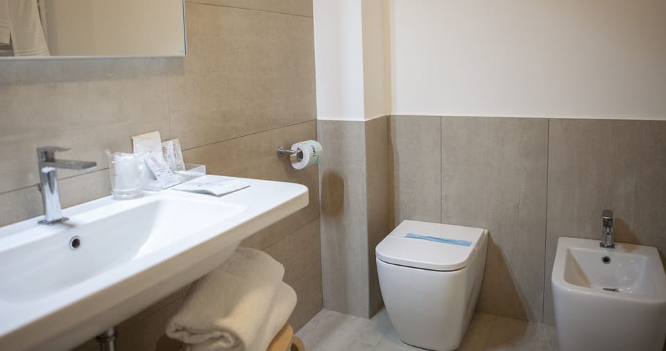 Shower, free toiletries, hair dryer, bidet
