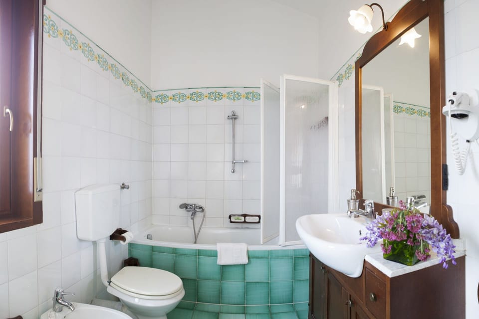 Shower, free toiletries, hair dryer, bidet