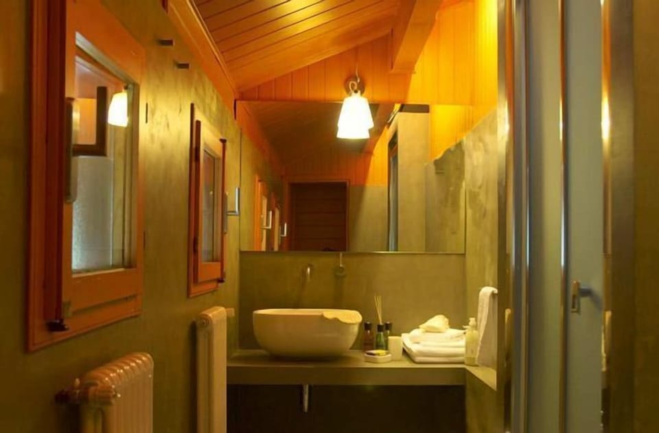 Hair dryer, bidet, towels, toilet paper