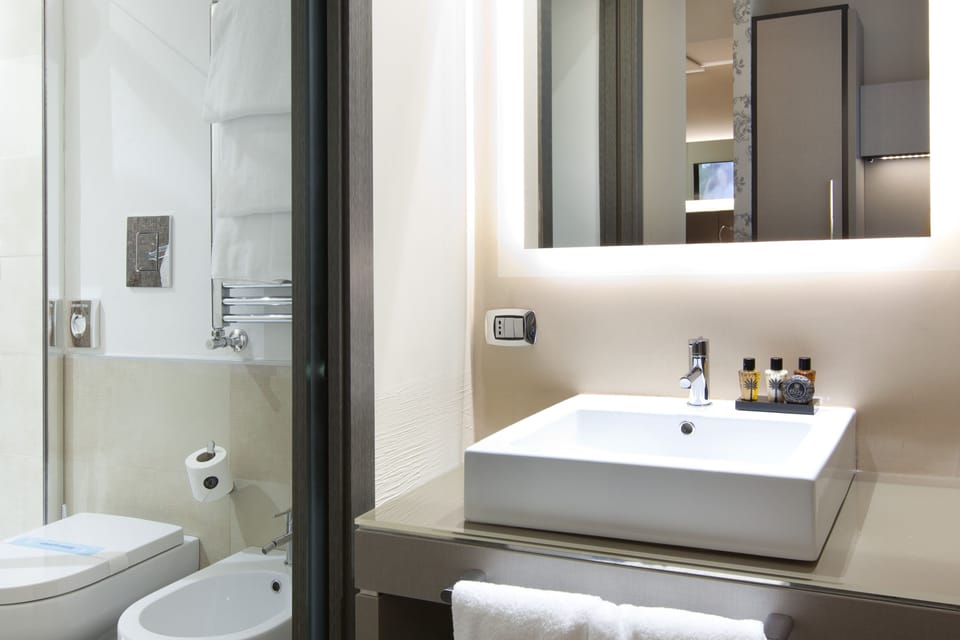 Shower, free toiletries, hair dryer, bidet
