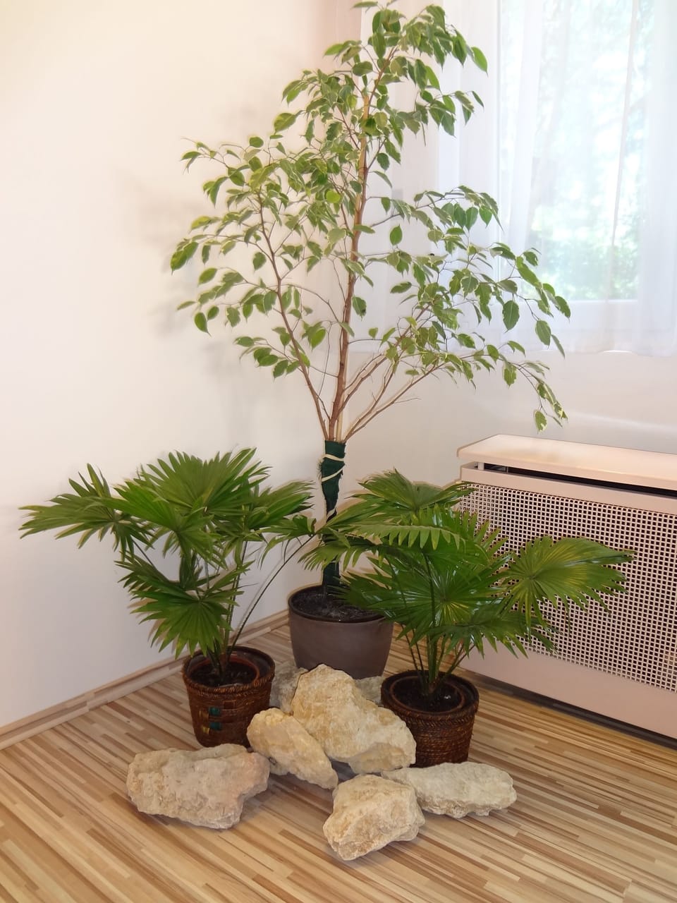 Interior detail