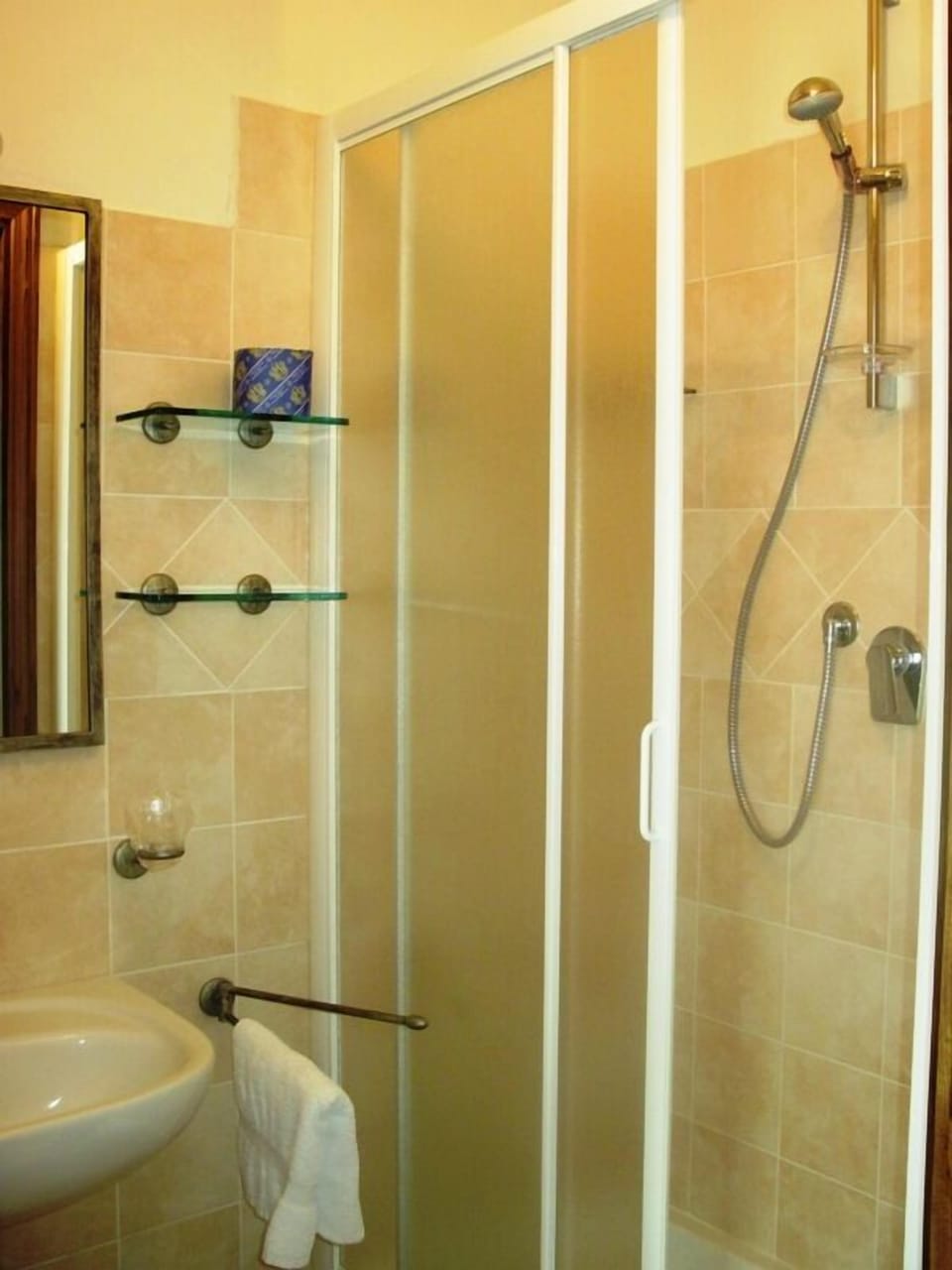 Single Room, Private Bathroom | Bathroom | Shower, hair dryer, bidet, towels
