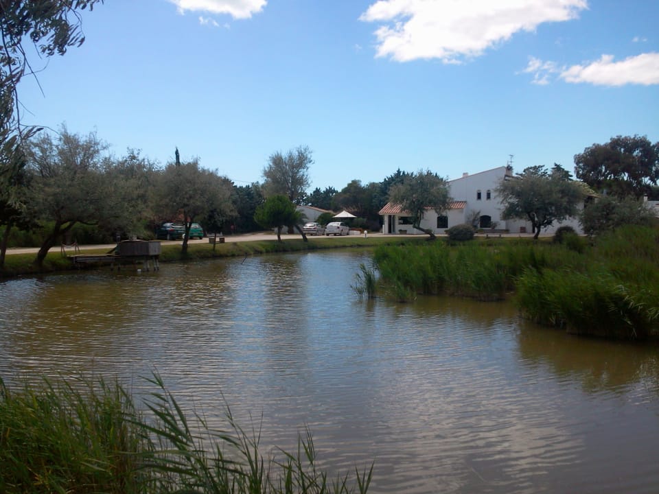 Lake view