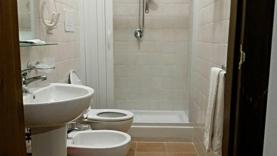 Hair dryer, bidet, towels