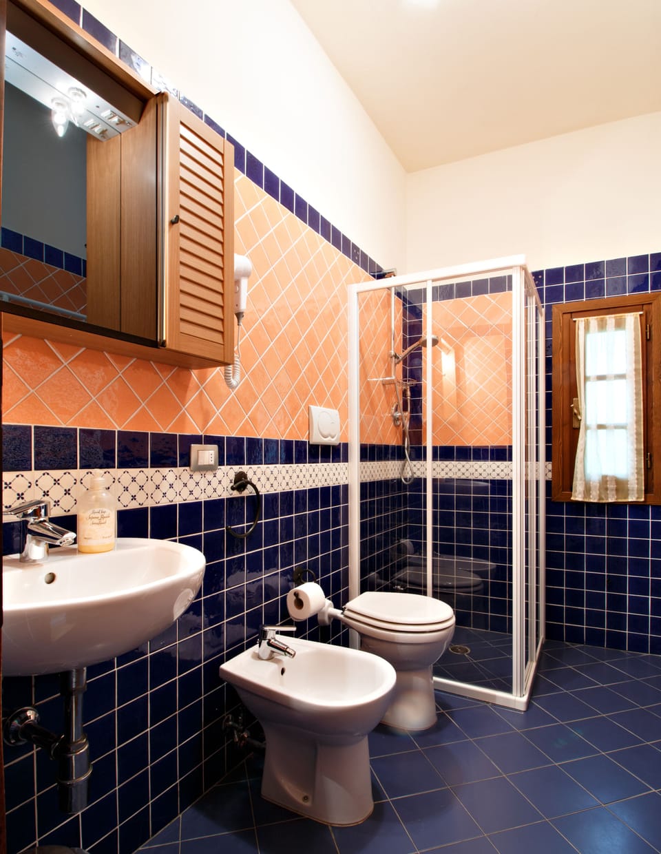 Shower, hair dryer, bidet, towels