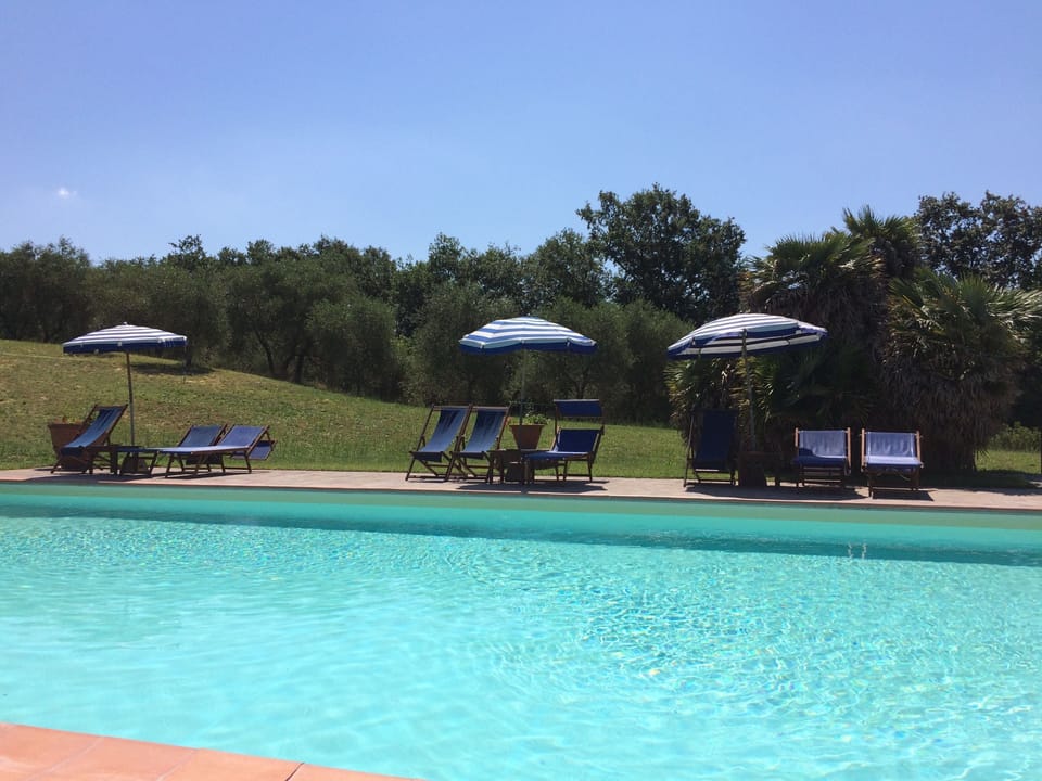 Seasonal outdoor pool, a rooftop pool, pool umbrellas, sun loungers