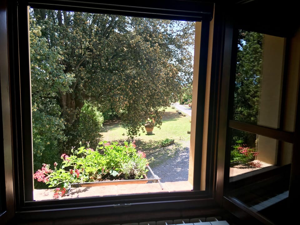 Classic Condo, Kitchen, Tower | View from room