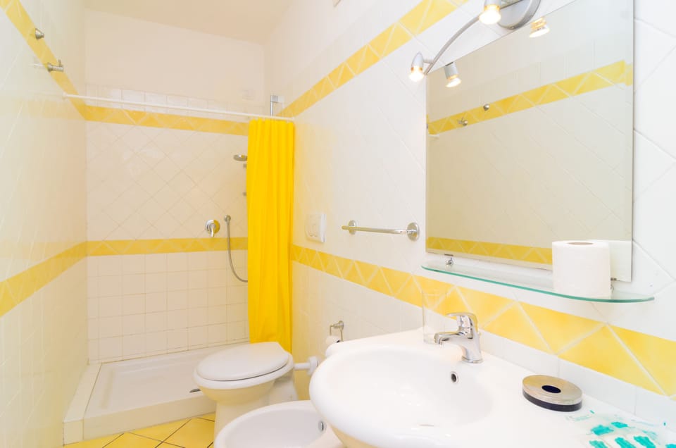 Shower, free toiletries, hair dryer, bidet