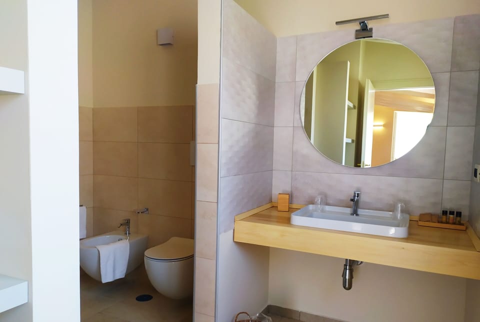 Deluxe Double Room | Bathroom | Shower, free toiletries, hair dryer, bidet