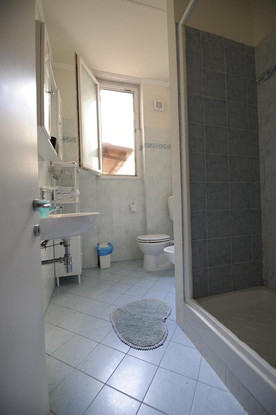Shower, rainfall showerhead, hair dryer, bidet