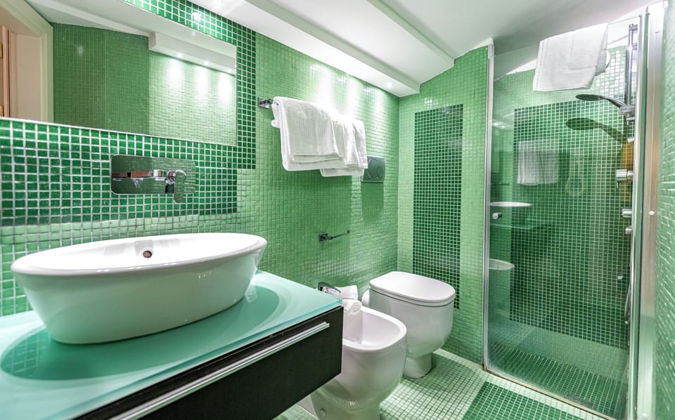 Shower, hydromassage showerhead, hair dryer, bidet