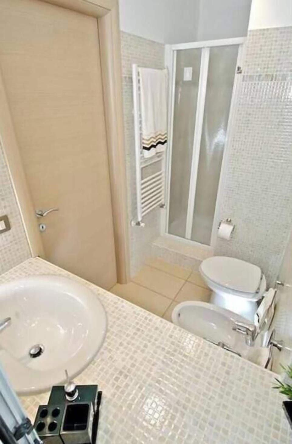 Shower, hair dryer, bidet, towels