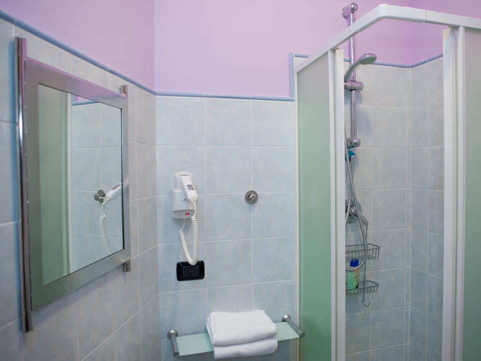 Shower, free toiletries, hair dryer, towels