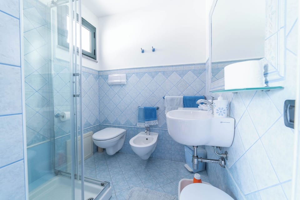 Shower, hair dryer