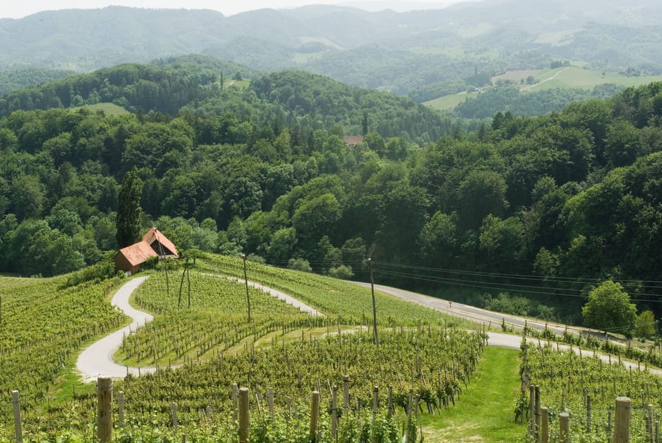 Winery