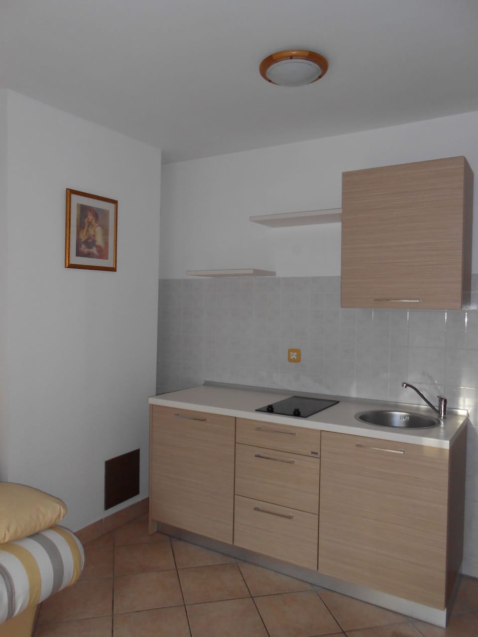 Standard Apartment, 1 Bedroom, Balcony | Private kitchenette | Shared fridge