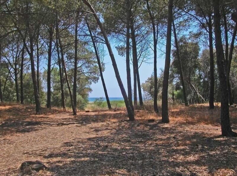 BBQ/picnic area