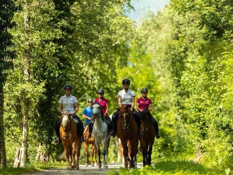 Horseback riding