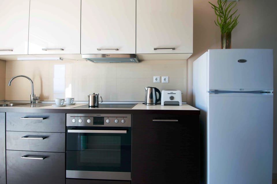 Premium Apartment, 2 Bedrooms | Private kitchen | Full-size fridge, microwave, oven, stovetop