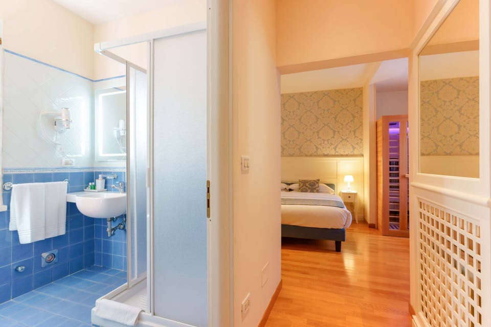 Deluxe Double or Twin Room | Bathroom | Shower, free toiletries, hair dryer, slippers