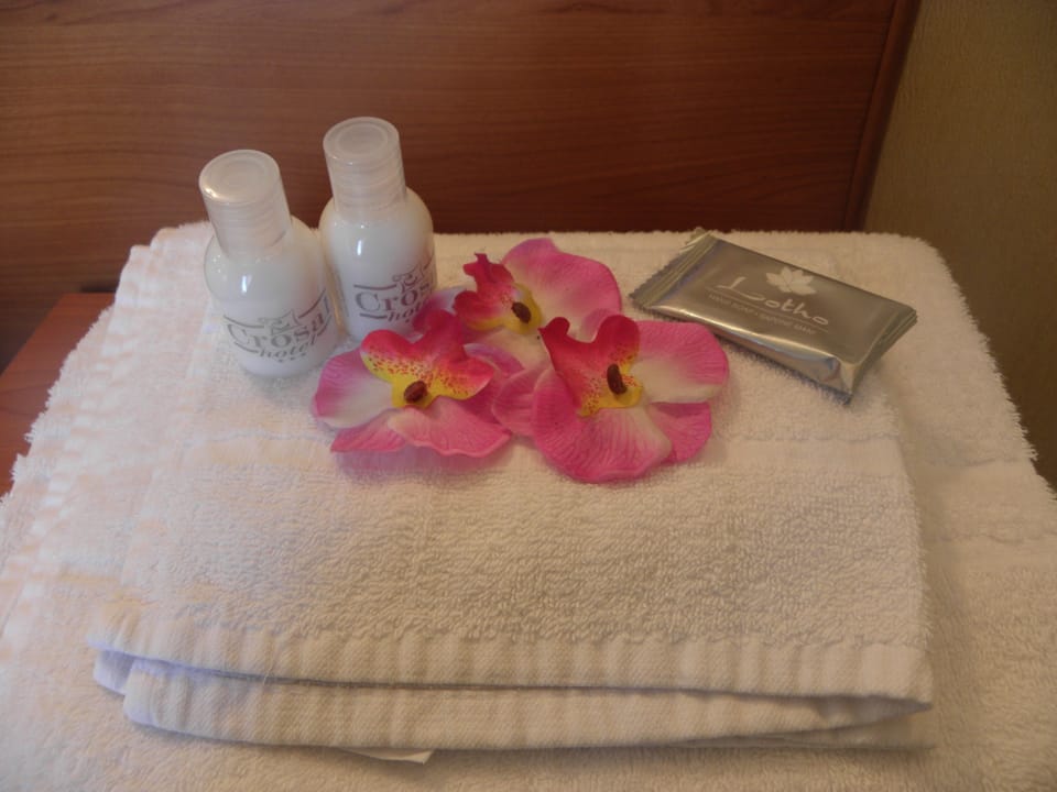 Shower, free toiletries, hair dryer, bidet