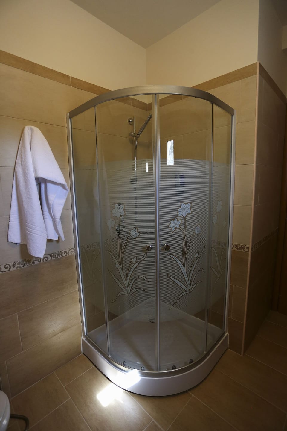 Bathroom shower