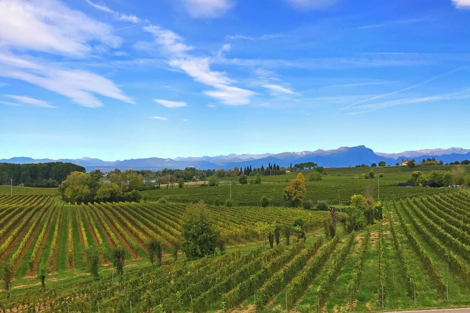 Land view from property