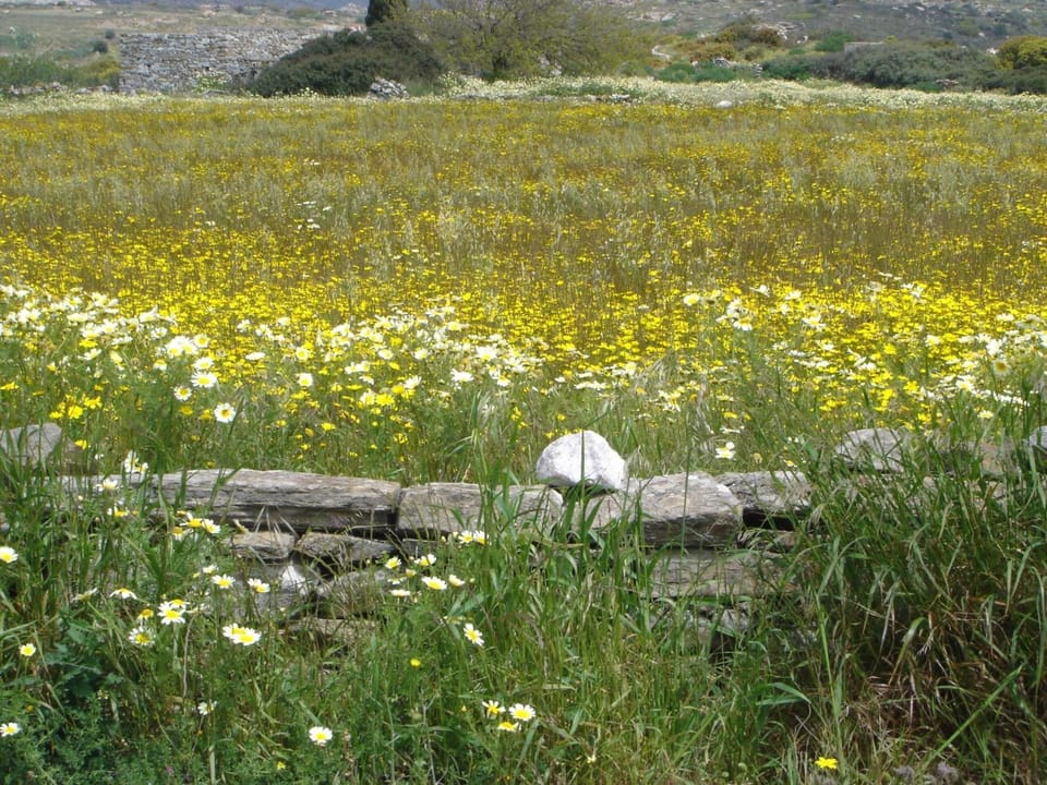 Land view from property