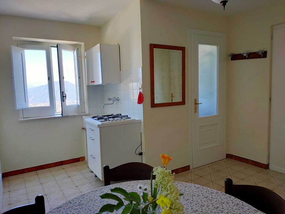 Apartment, 1 Bedroom, Kitchenette | Private kitchen
