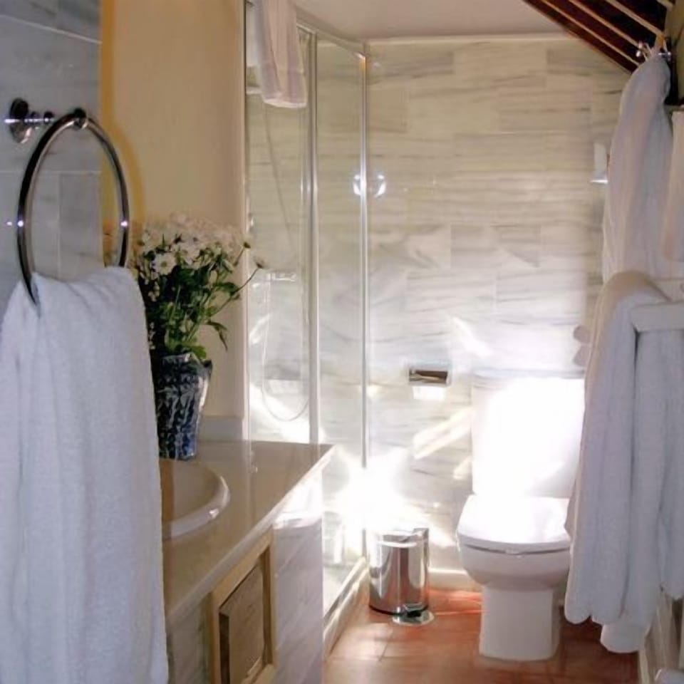 Deluxe Double or Twin Room (Alhambra View) | Bathroom | Free toiletries, hair dryer, towels, soap