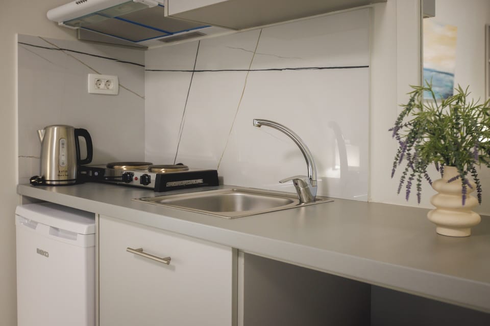 Standard Studio (Twin) | Private kitchenette | Fridge, electric kettle