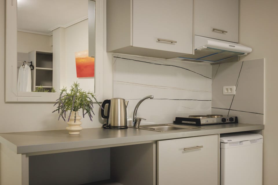 Standard Double Room | Private kitchenette | Fridge, electric kettle