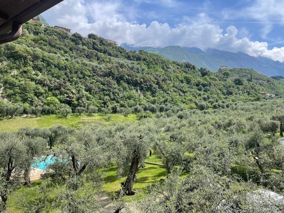 Standard Double Room, 1 Bedroom, Balcony | In-room safe, individually decorated, individually furnished, desk