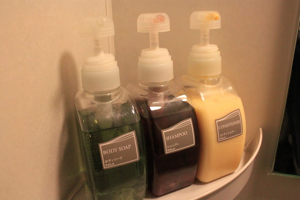 Shower, free toiletries, hair dryer, slippers