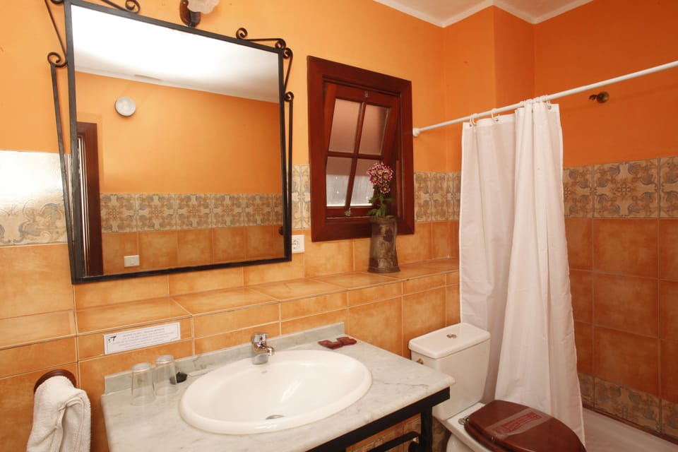 Double Room | Bathroom | Shower, hair dryer, towels