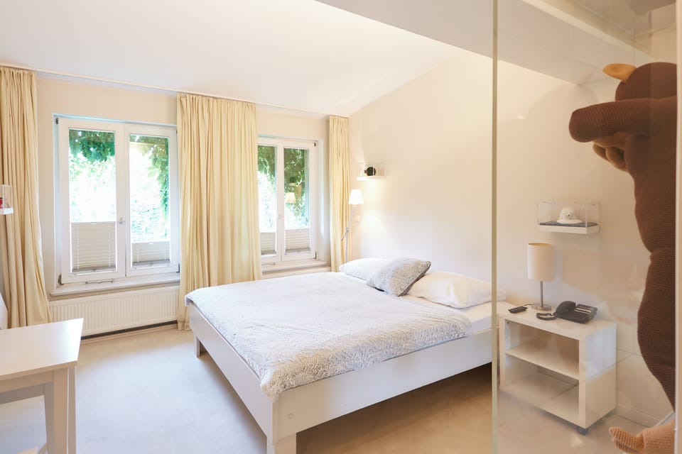 Deluxe Double Room | In-room safe, individually furnished, soundproofing, iron/ironing board