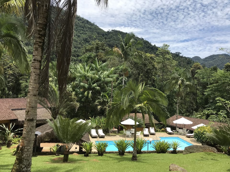 Outdoor pool, pool umbrellas, sun loungers