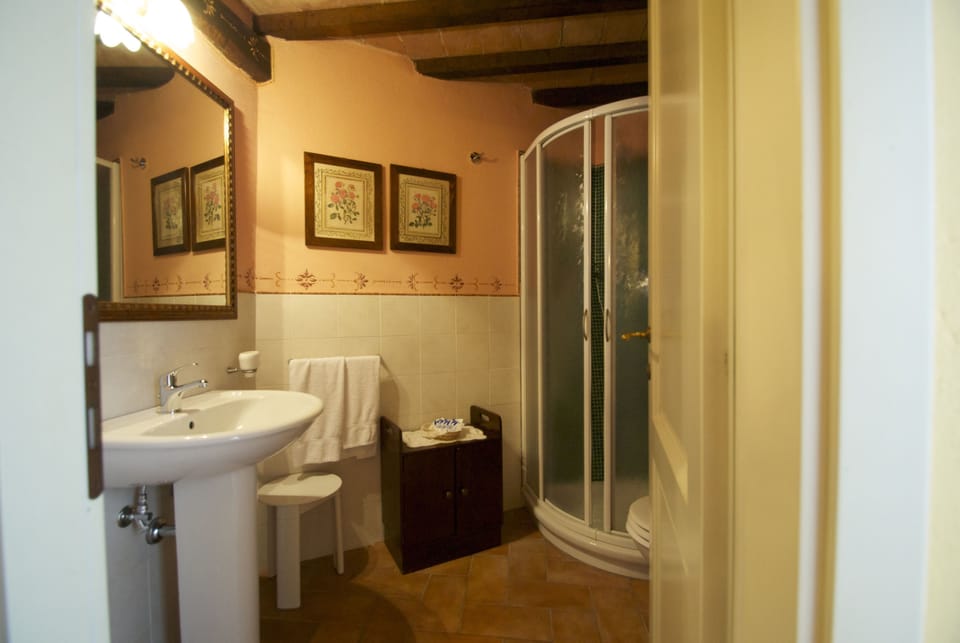 Shower, rainfall showerhead, free toiletries, hair dryer