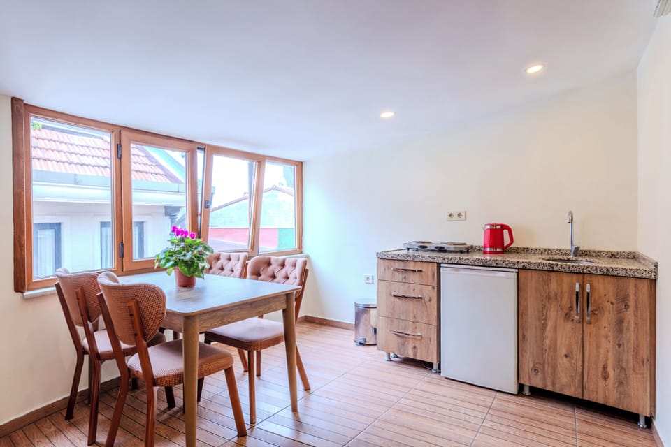 Classic Studio | Private kitchen | Eco-friendly cleaning products