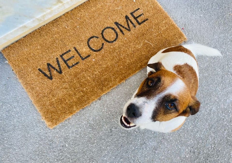 Pet-friendly
