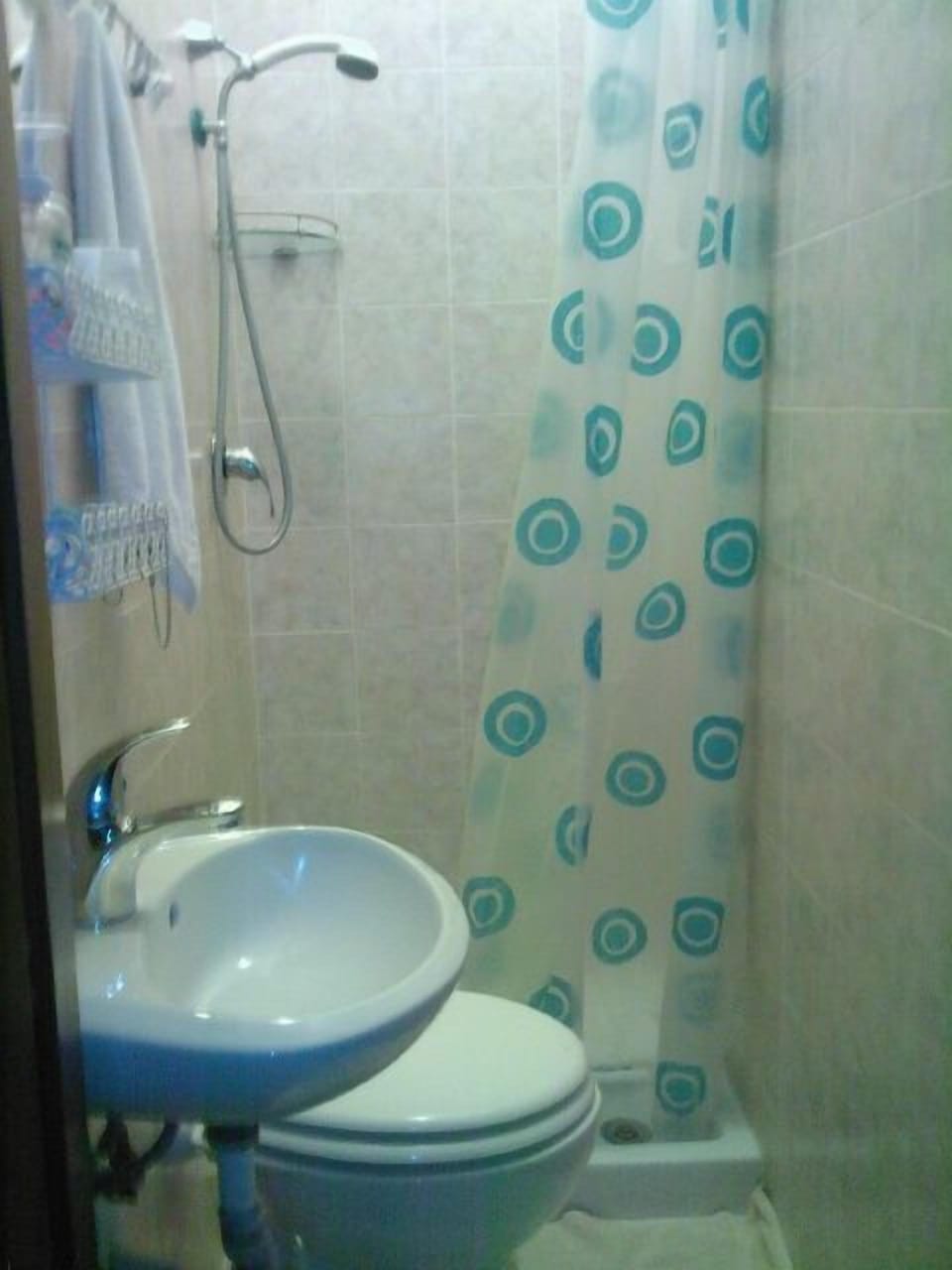 Shower, rainfall showerhead, hair dryer, bidet