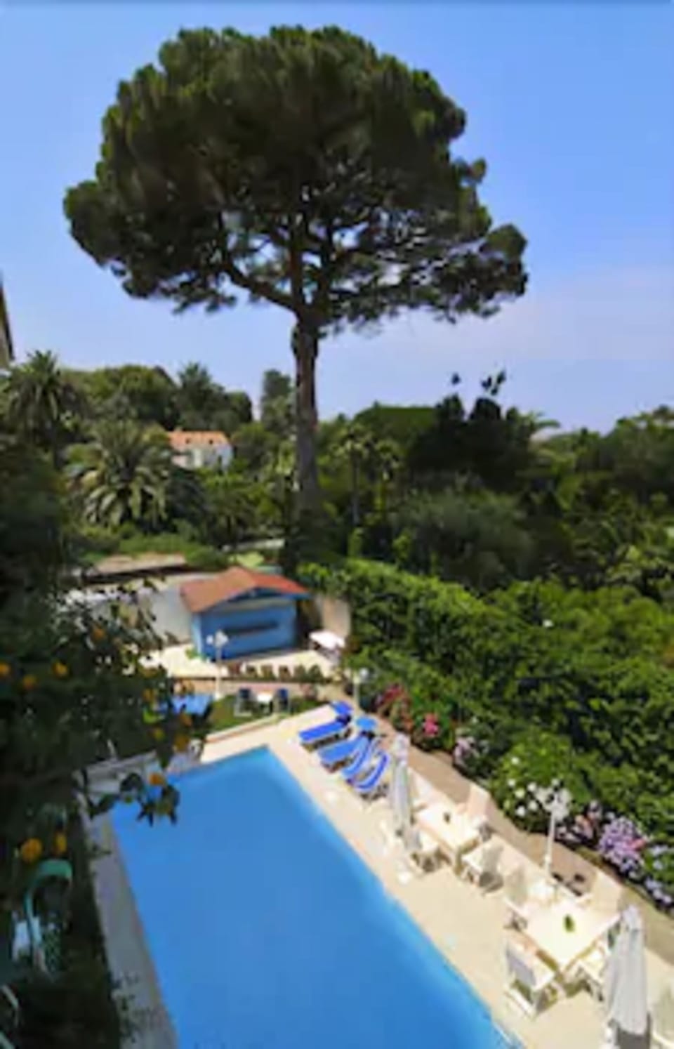 Seasonal outdoor pool, sun loungers