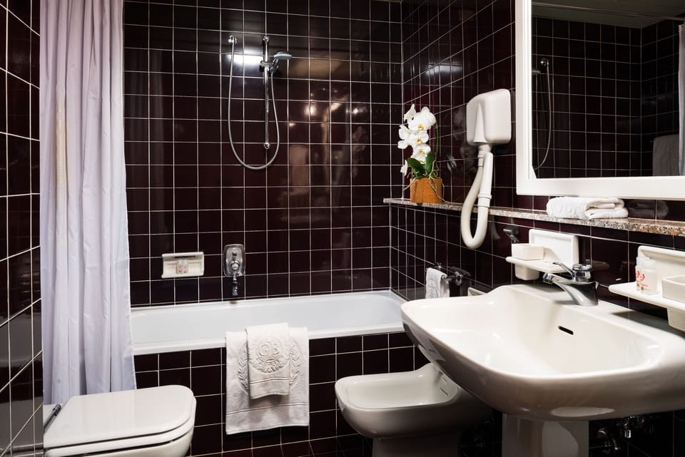 Free toiletries, hair dryer, bathrobes, bidet