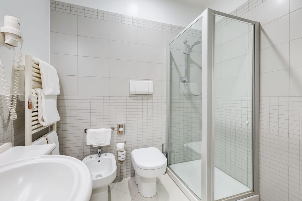 Shower, hair dryer, bidet, towels